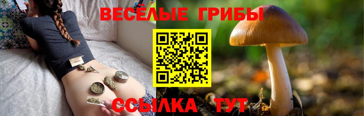 Псилоцибиновые грибы ЛСД Озёрск